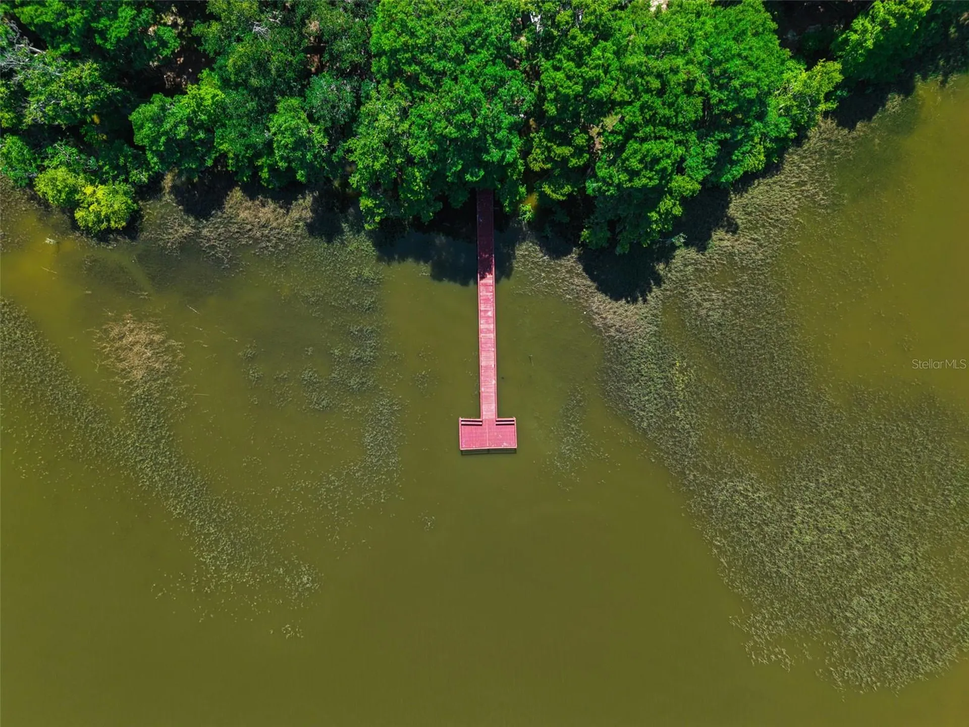1224 Palmetto Road Eustis FL 32726