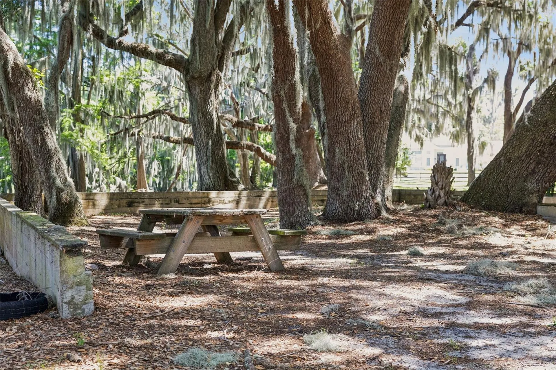 1224 Palmetto Road Eustis FL 32726