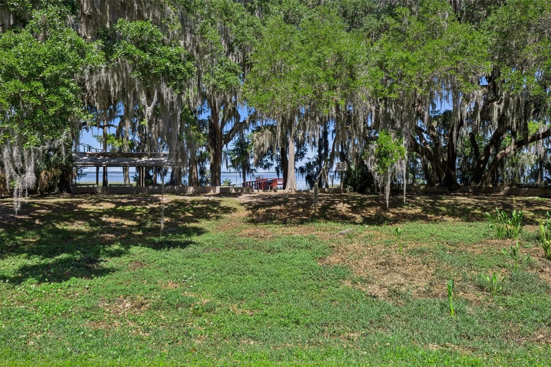1224 Palmetto Road Eustis FL 32726