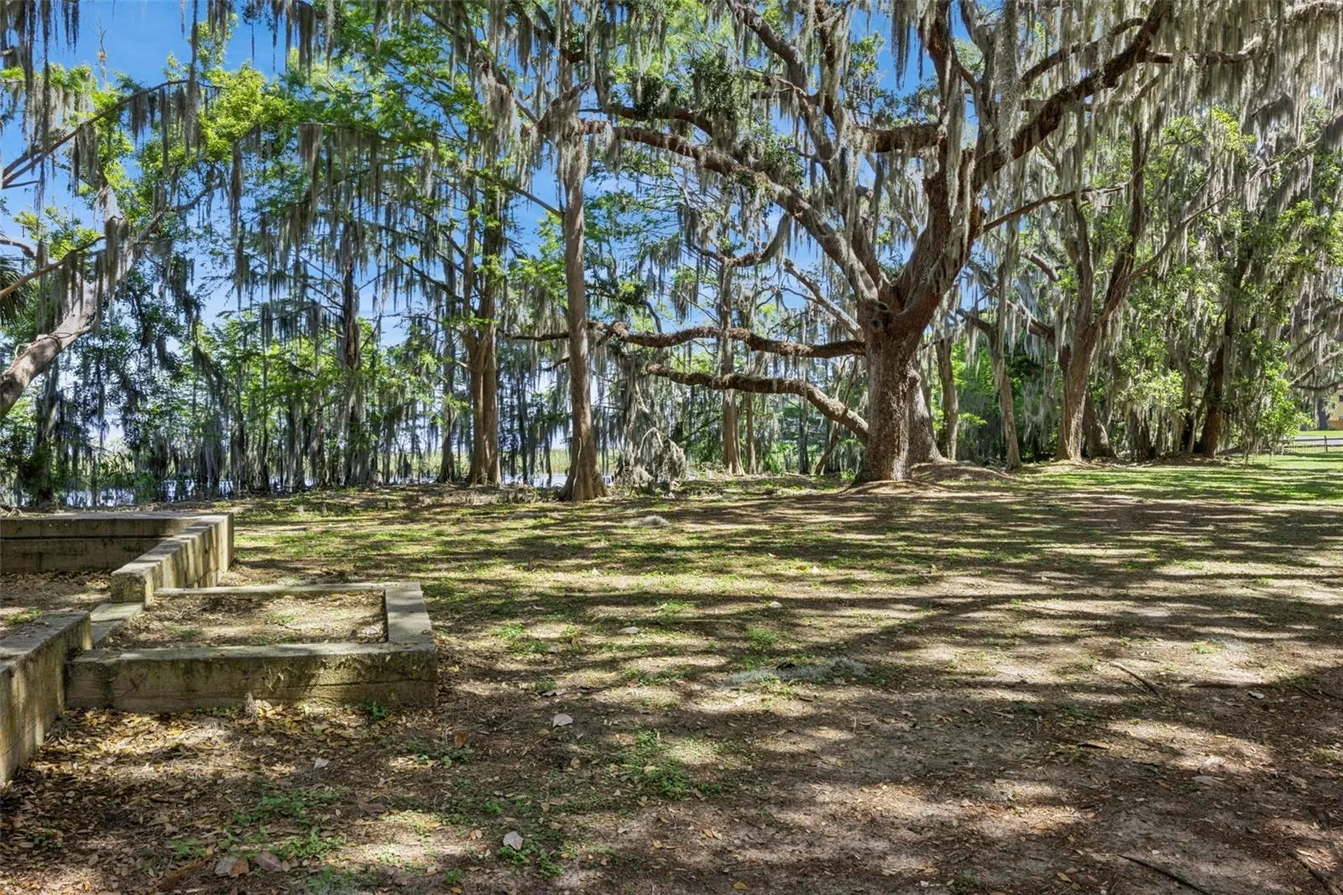1224 Palmetto Road Eustis FL 32726
