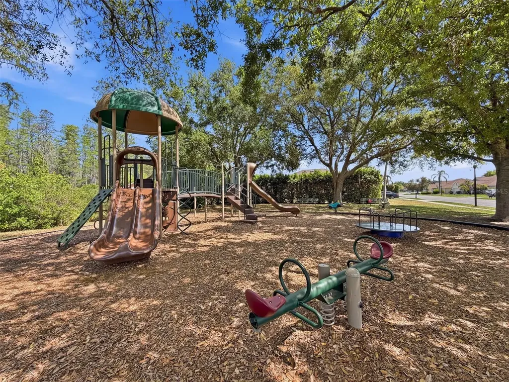 8740 Maple Pond Court Trinity FL 34655