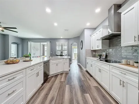 8740 Maple Pond Court Trinity FL 34655