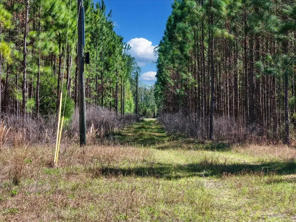 000 NW 60th Avenue Chiefland FL 32626