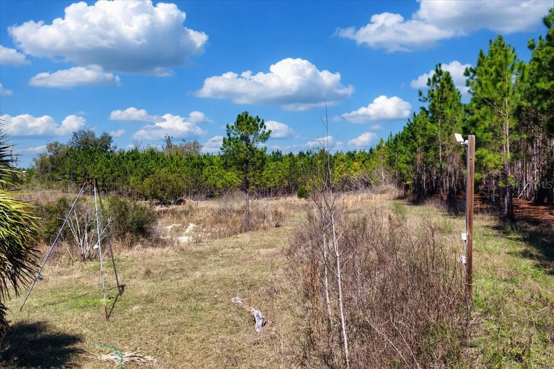 000 NW 60th Avenue Chiefland FL 32626