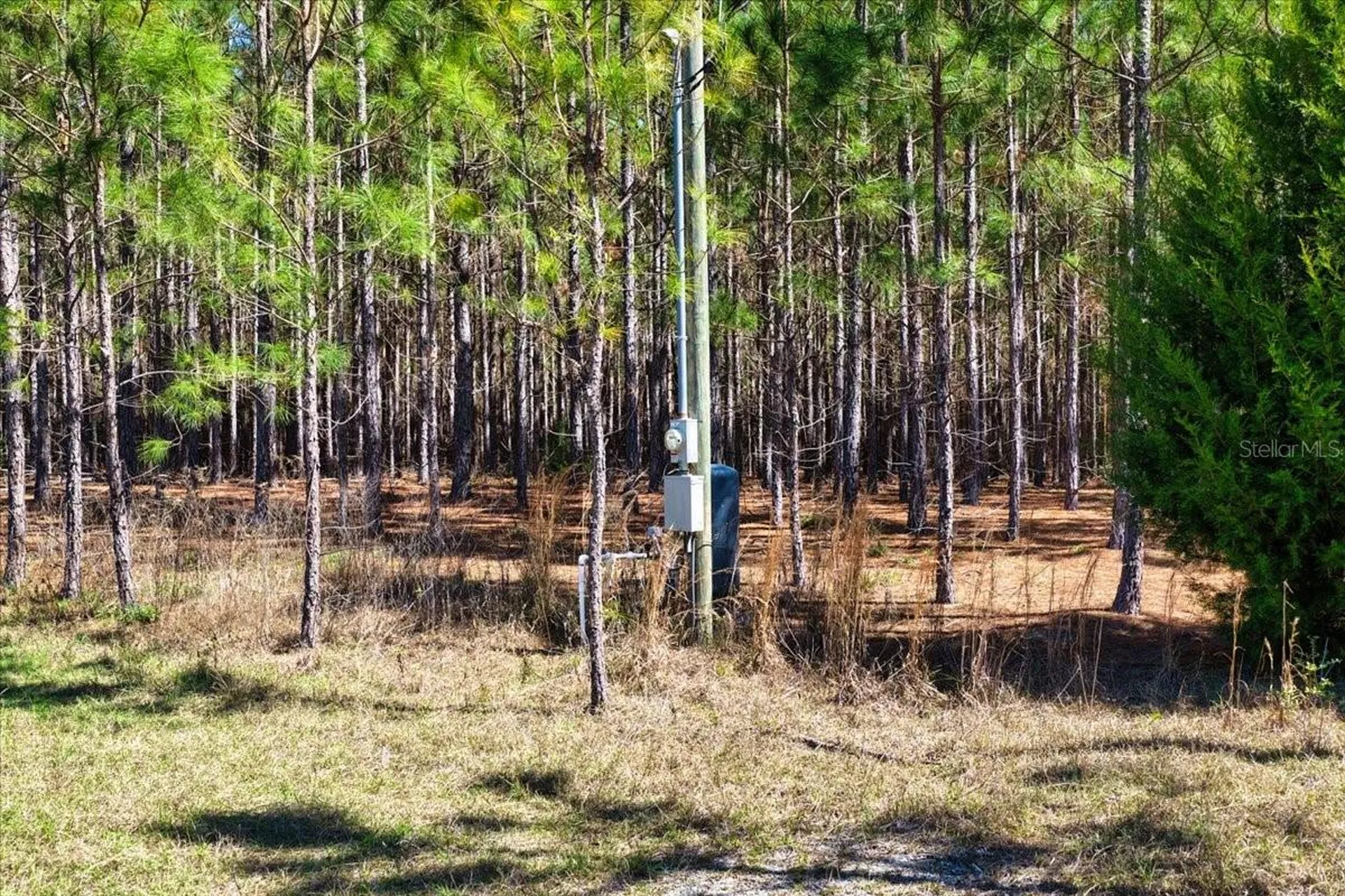 000 NW 60th Avenue Chiefland FL 32626