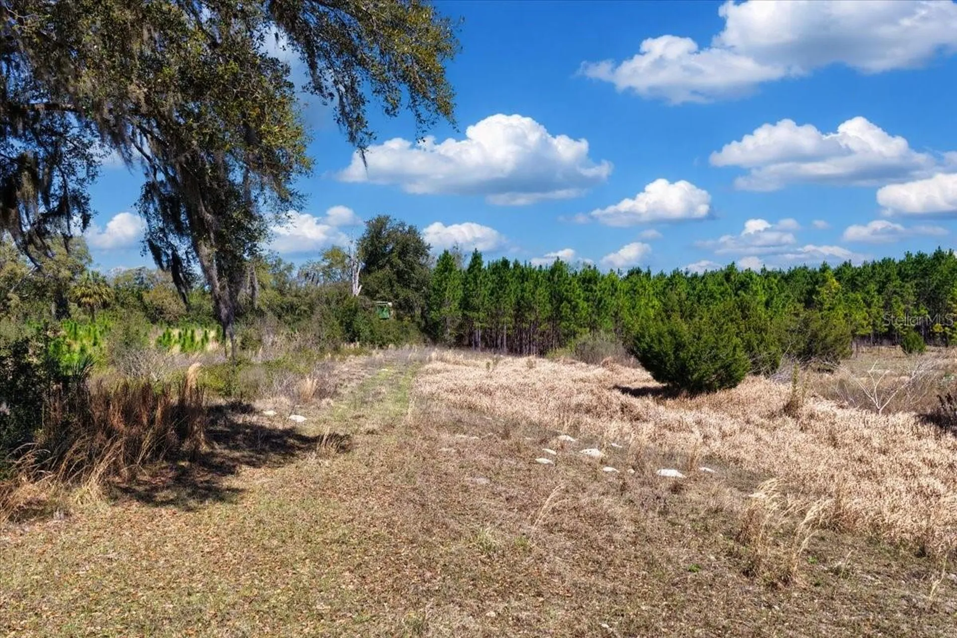 000 NW 60th Avenue Chiefland FL 32626