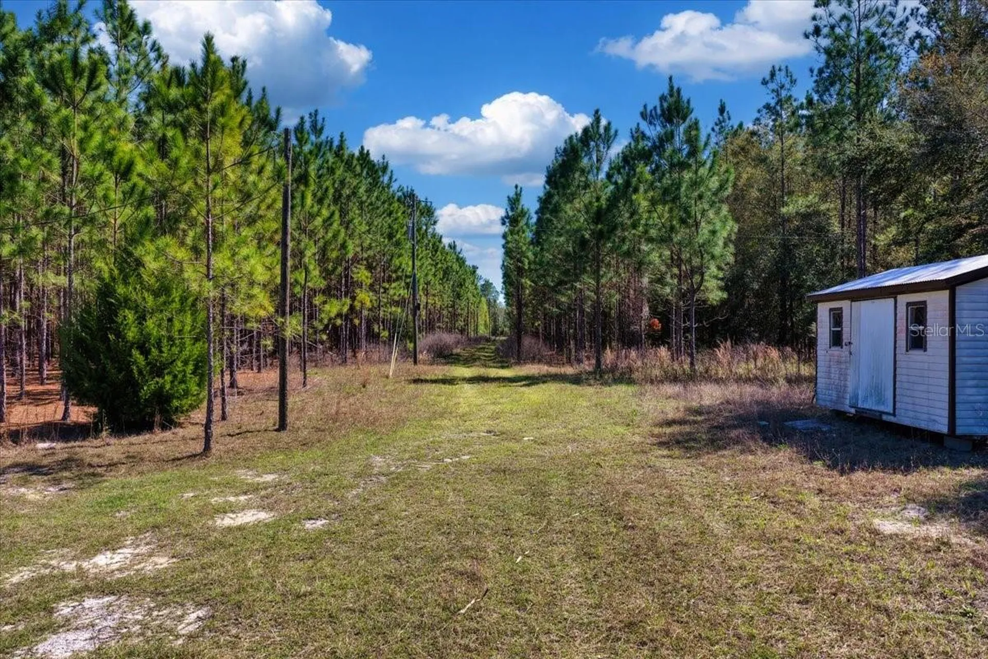 000 NW 60th Avenue Chiefland FL 32626
