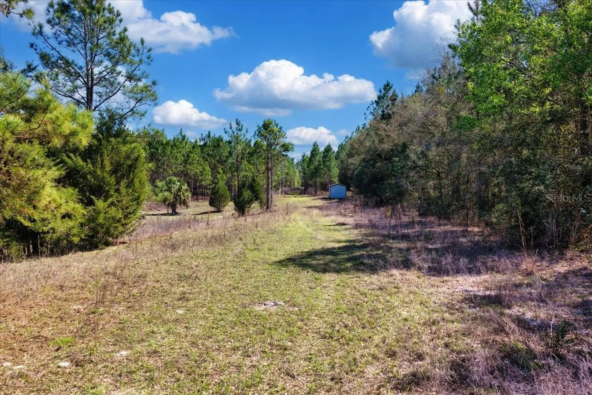 000 NW 60th Avenue Chiefland FL 32626