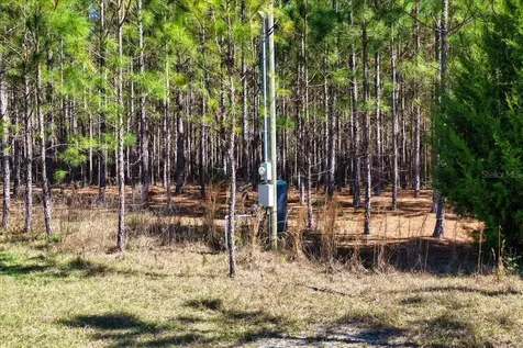 000 NW 60th Avenue Chiefland FL 32626