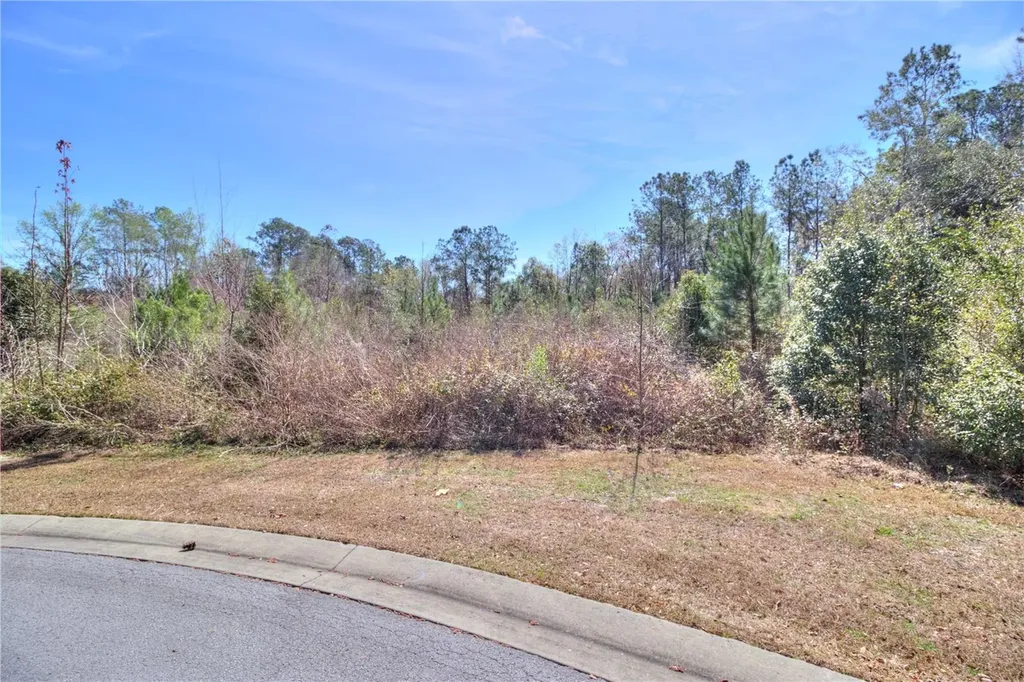 Tbd SE 41st Street SE Ocala FL 34480
