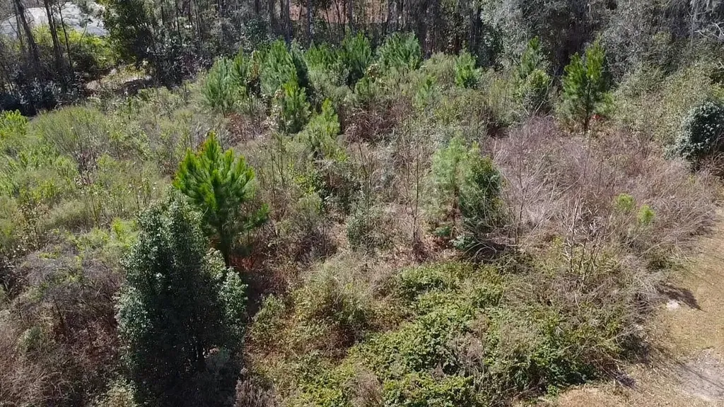 Tbd SE 41st Street SE Ocala FL 34480