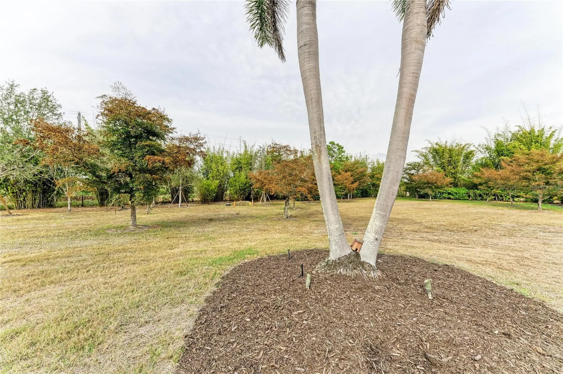 5348 Palangos Drive Punta Gorda FL 33982