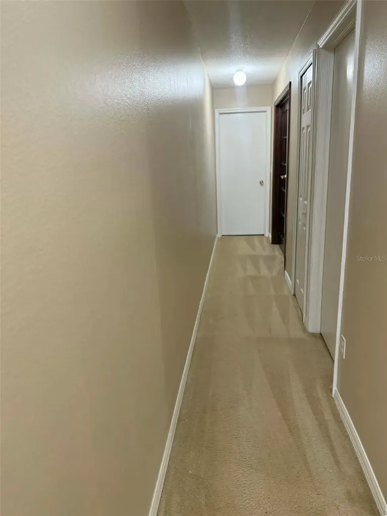 2113 Fluorshire Drive Brandon FL 33511