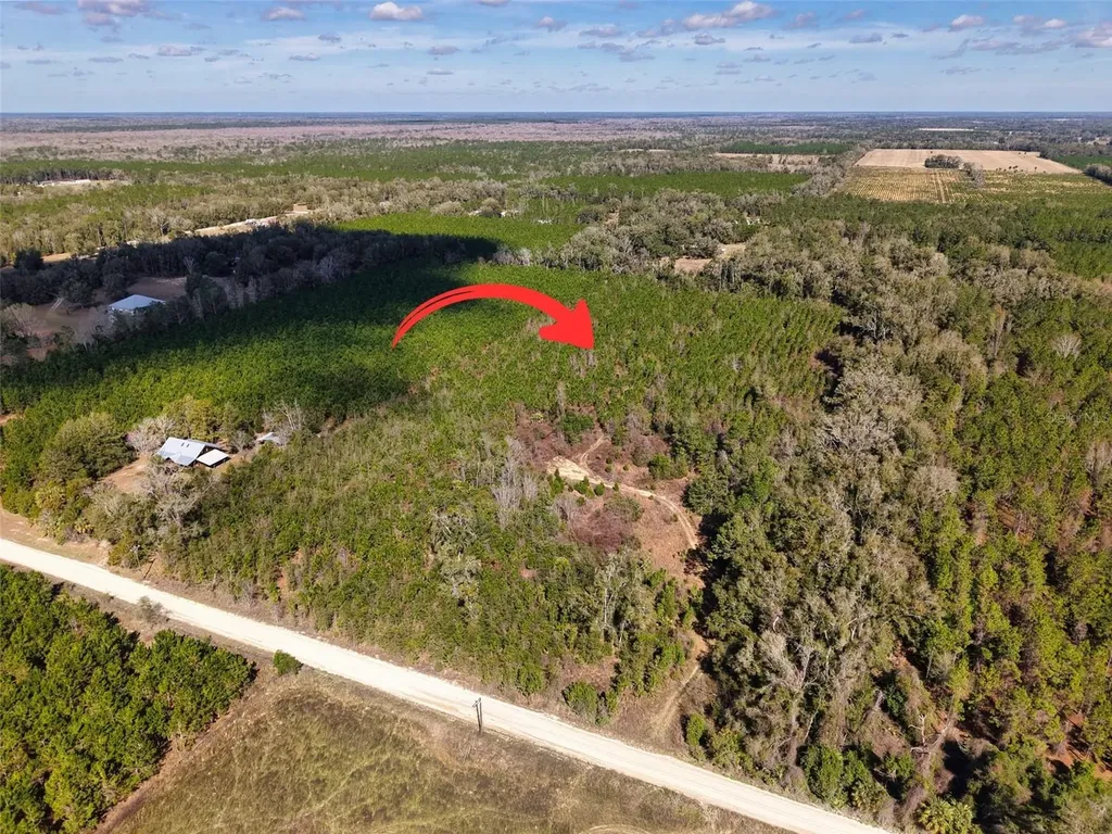 Lot 17 SW 80th Street Trenton FL 32693