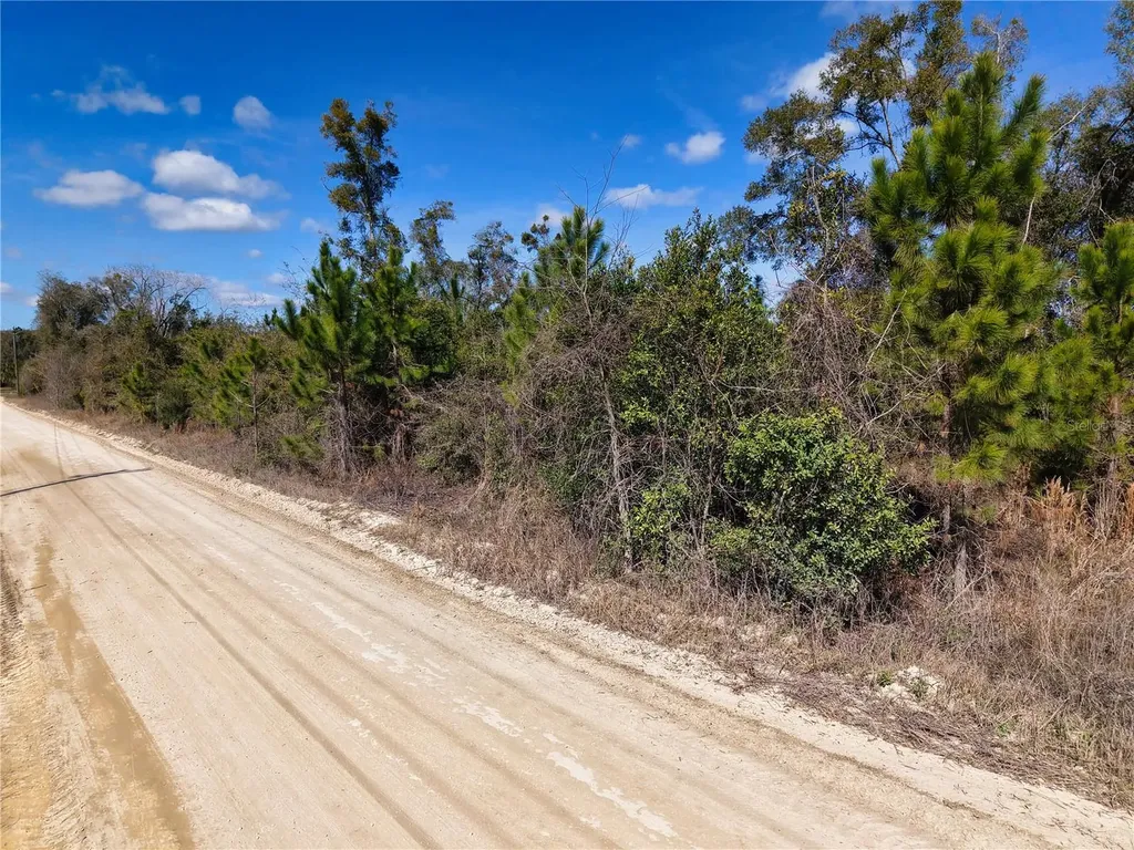 Lot 17 SW 80th Street Trenton FL 32693