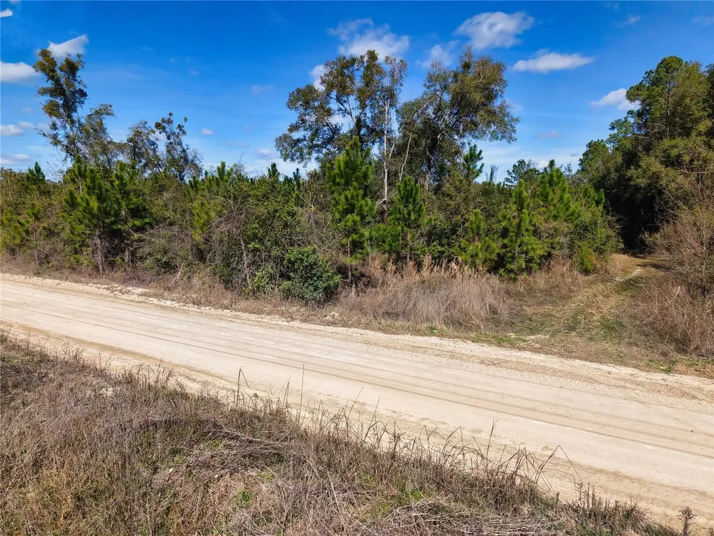 Lot 17 SW 80th Street Trenton FL 32693