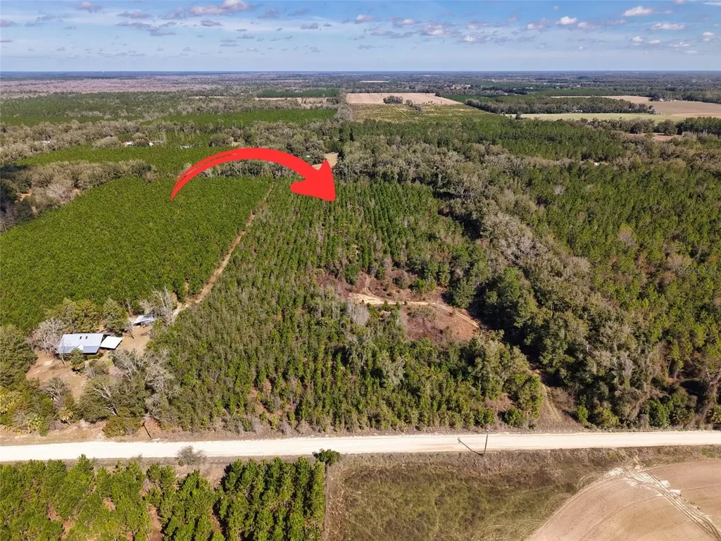 Lot 17 SW 80th Street Trenton FL 32693