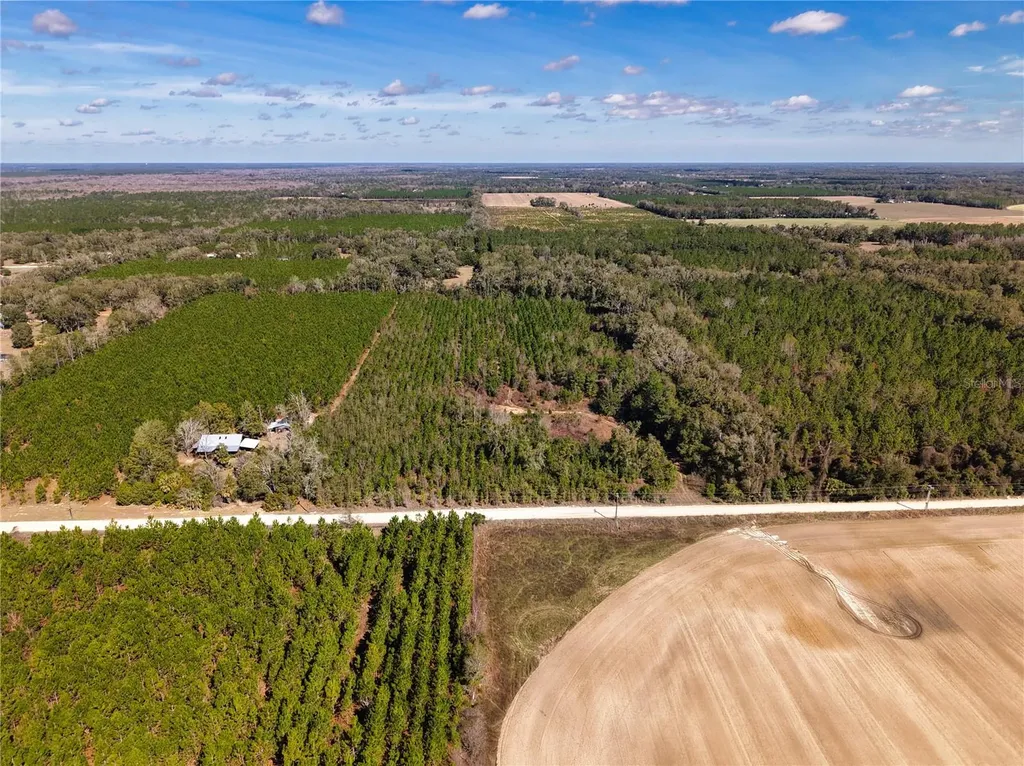 Lot 17 SW 80th Street Trenton FL 32693