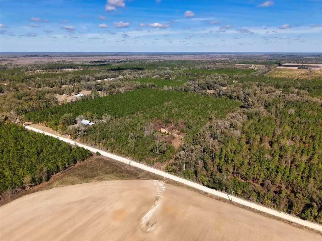 Lot 17 SW 80th Street Trenton FL 32693