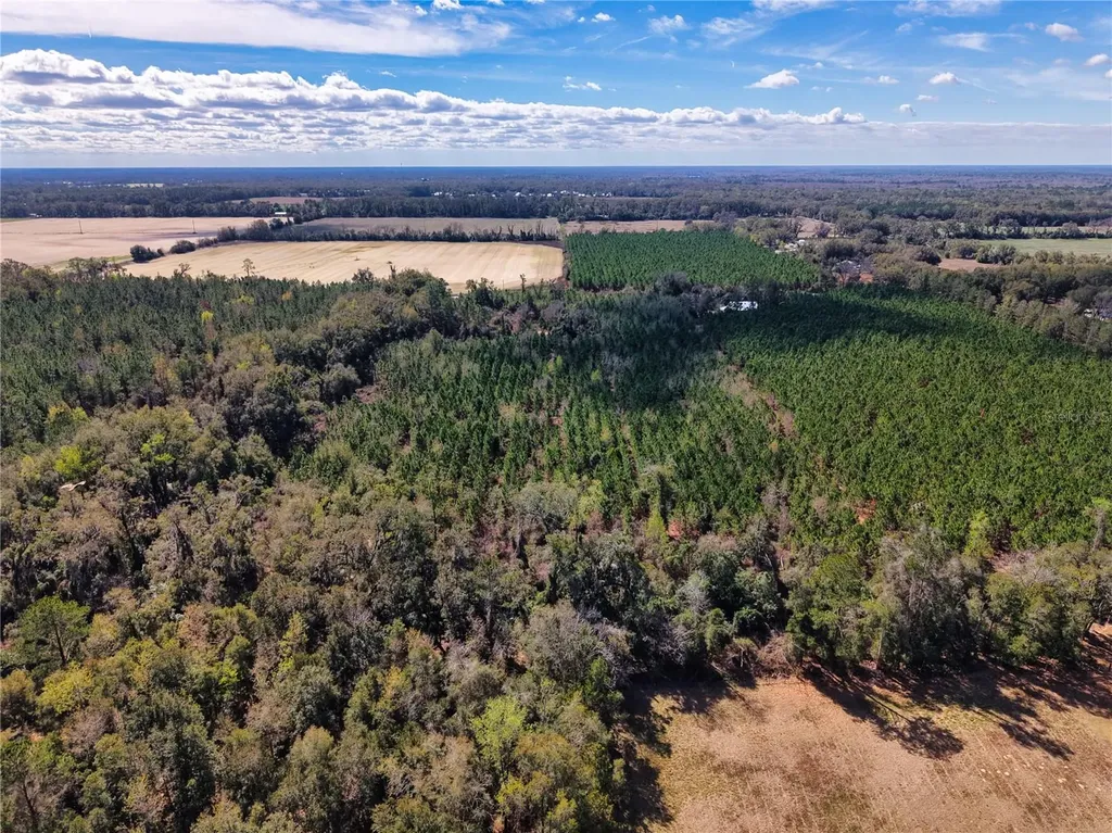 Lot 17 SW 80th Street Trenton FL 32693