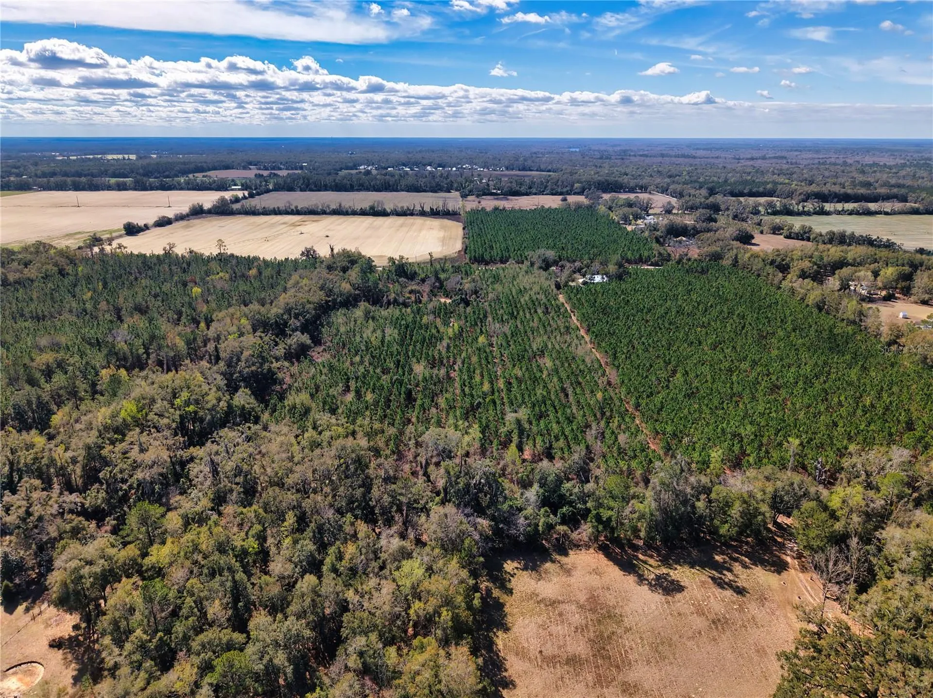 Lot 17 SW 80th Street Trenton FL 32693