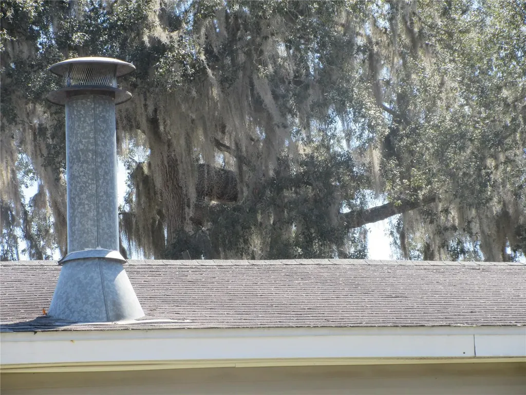 18601 SE 24th Lane Ocklawaha FL 32179