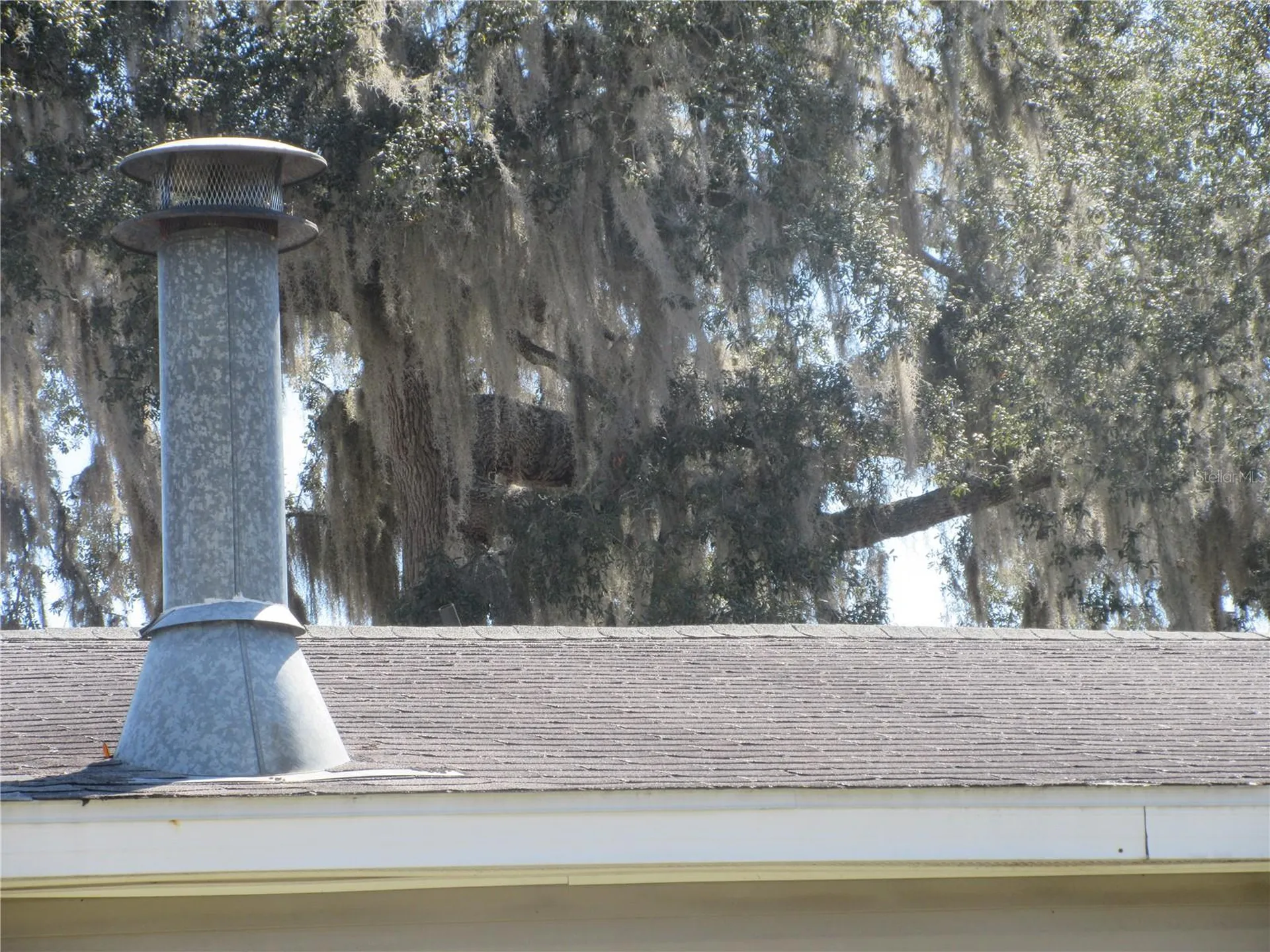 18601 SE 24th Lane Ocklawaha FL 32179