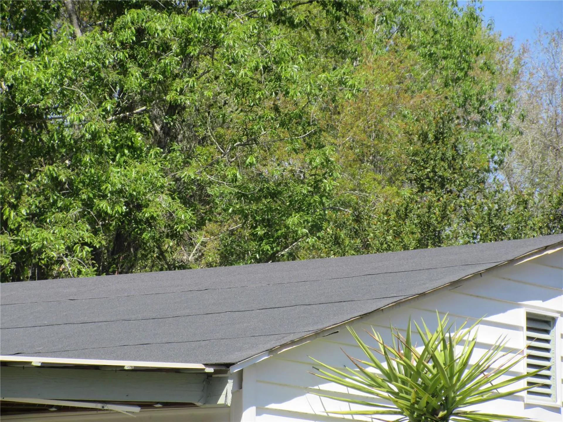 18601 SE 24th Lane Ocklawaha FL 32179