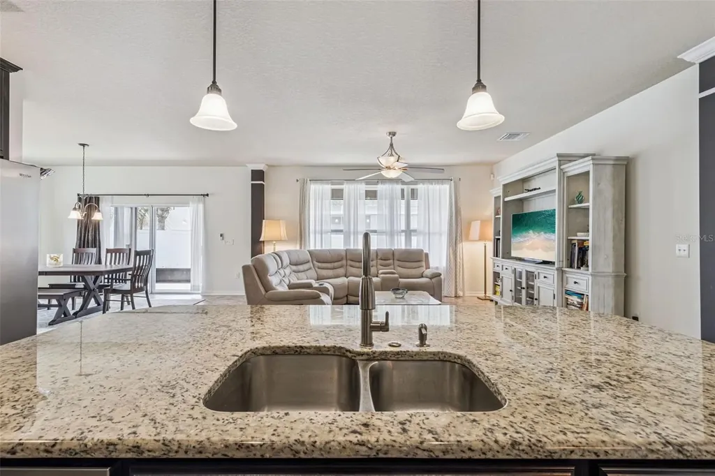 31518 Bearded Oak Drive Wesley Chapel FL 33543