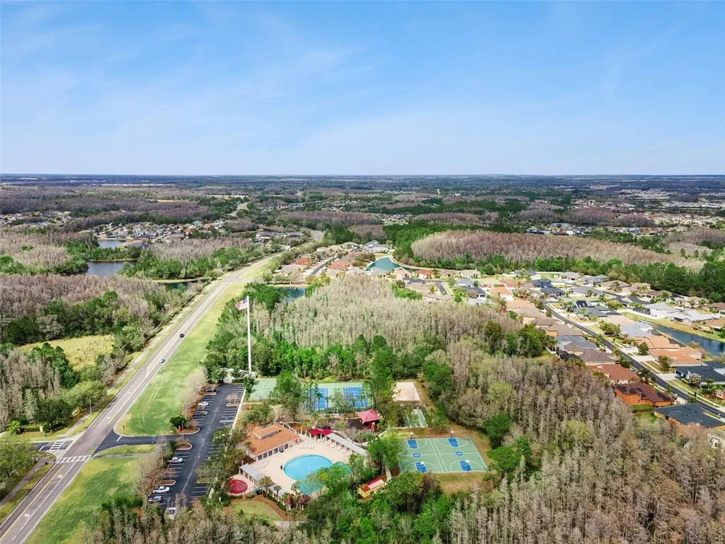 31518 Bearded Oak Drive Wesley Chapel FL 33543