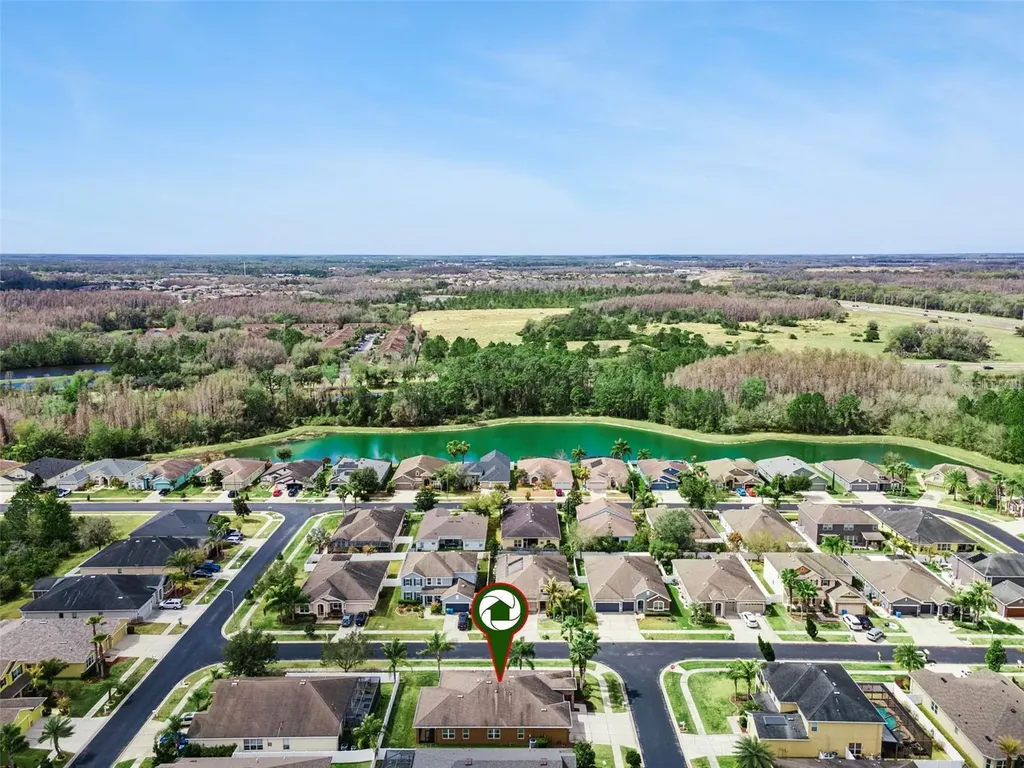 31518 Bearded Oak Drive Wesley Chapel FL 33543