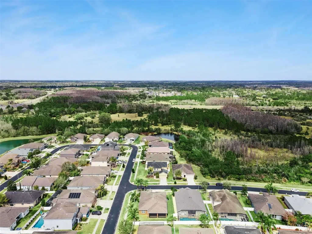 31518 Bearded Oak Drive Wesley Chapel FL 33543