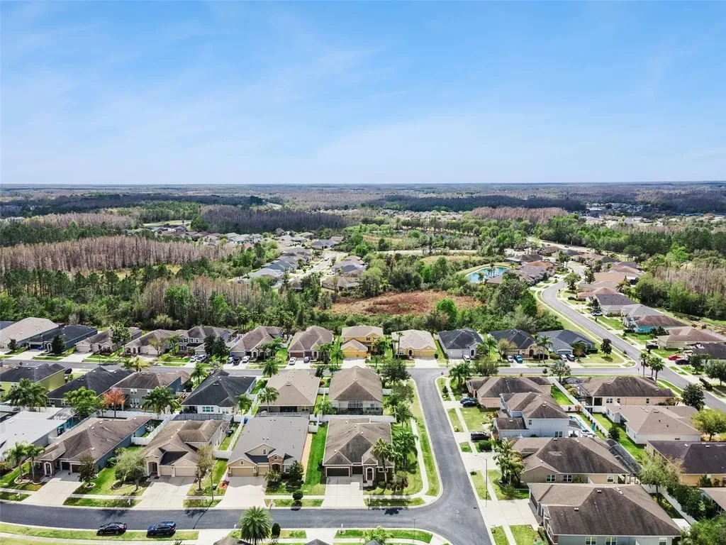31518 Bearded Oak Drive Wesley Chapel FL 33543