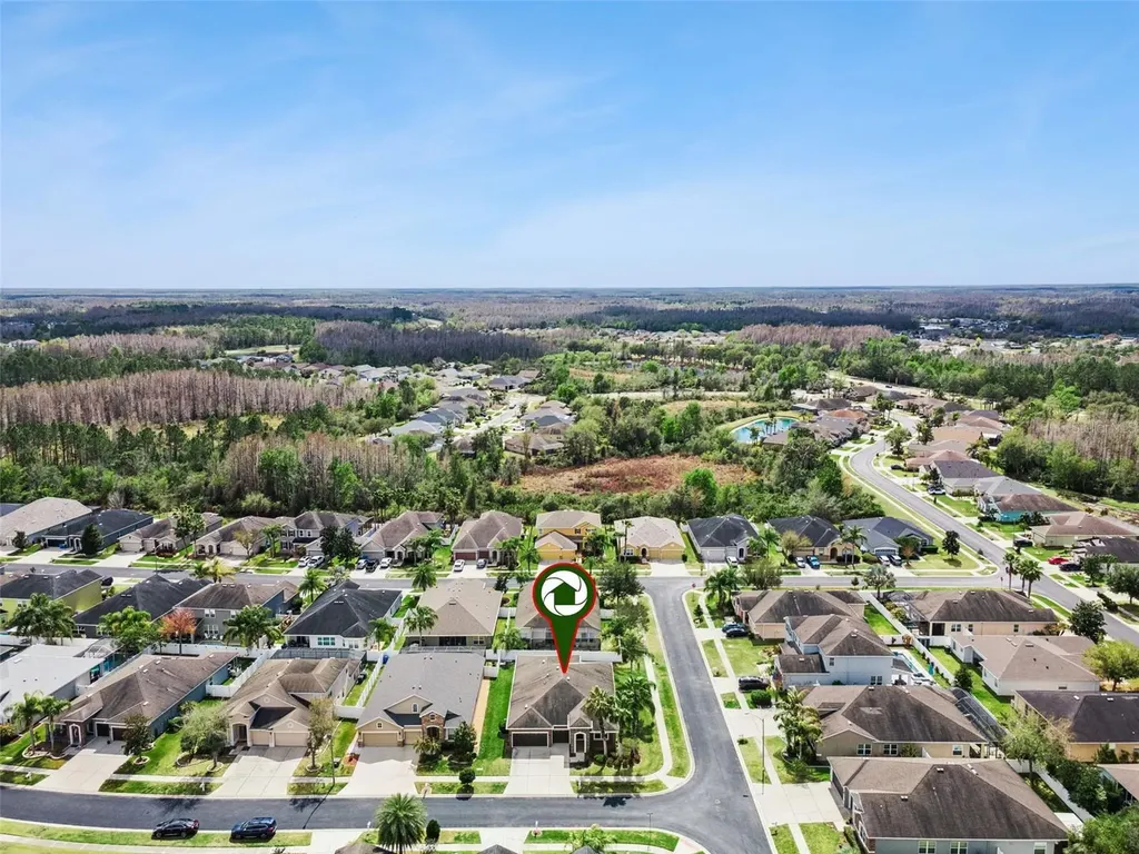 31518 Bearded Oak Drive Wesley Chapel FL 33543