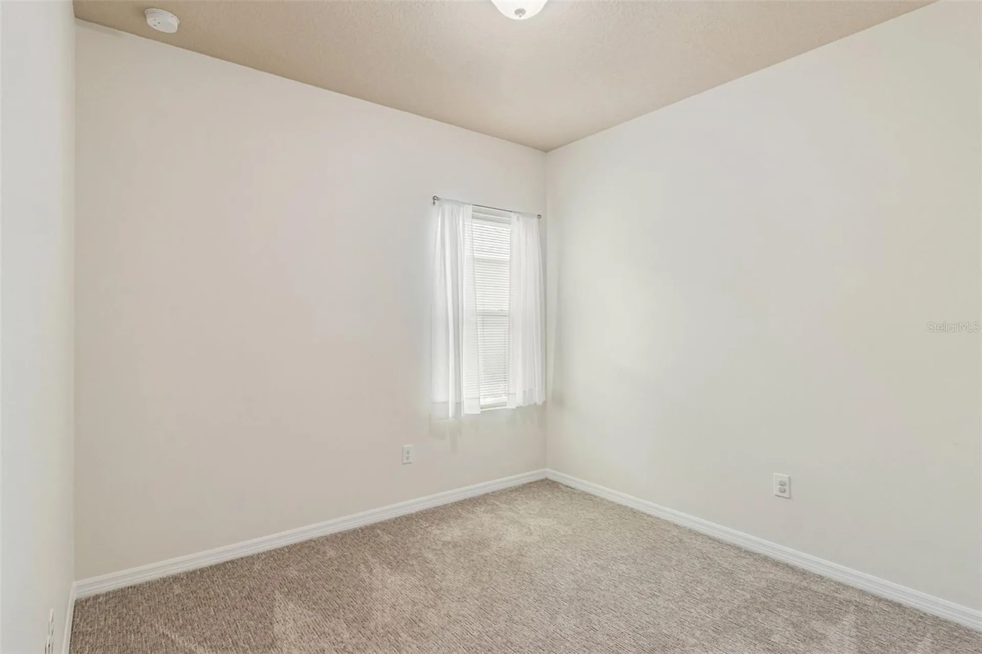 31518 Bearded Oak Drive Wesley Chapel FL 33543