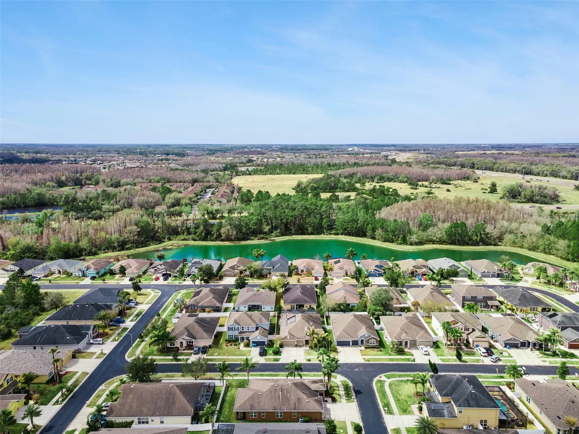 31518 Bearded Oak Drive Wesley Chapel FL 33543