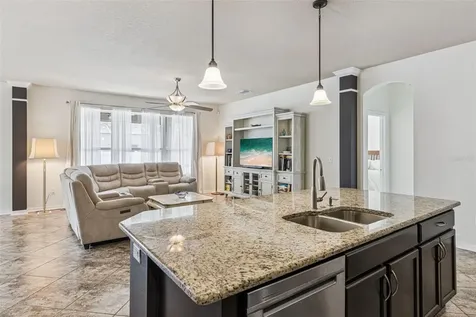 31518 Bearded Oak Drive Wesley Chapel FL 33543