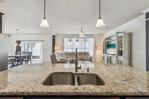 31518 Bearded Oak Drive Wesley Chapel FL 33543