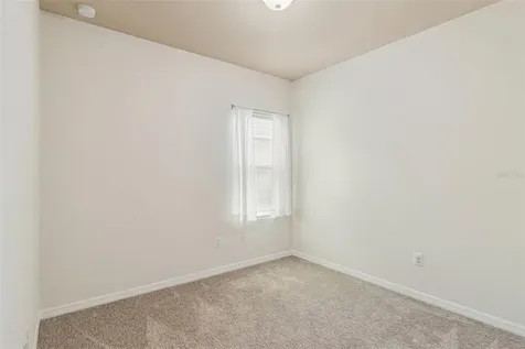 31518 Bearded Oak Drive Wesley Chapel FL 33543