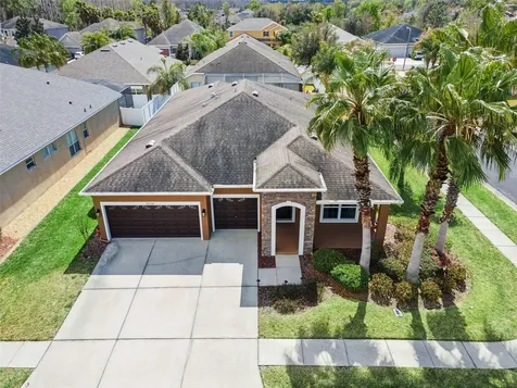 31518 Bearded Oak Drive Wesley Chapel FL 33543