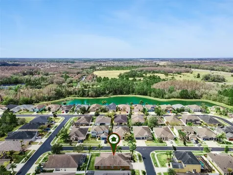 31518 Bearded Oak Drive Wesley Chapel FL 33543