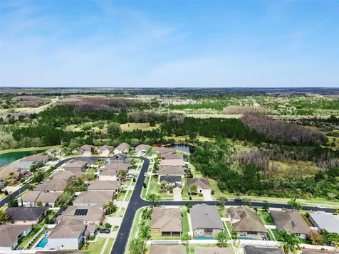 31518 Bearded Oak Drive Wesley Chapel FL 33543