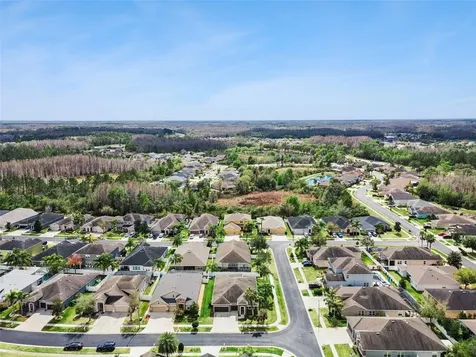 31518 Bearded Oak Drive Wesley Chapel FL 33543
