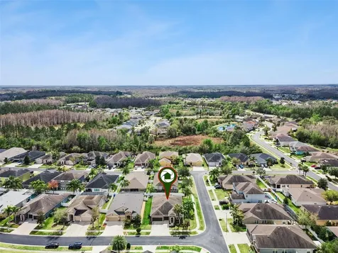 31518 Bearded Oak Drive Wesley Chapel FL 33543