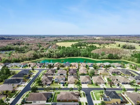31518 Bearded Oak Drive Wesley Chapel FL 33543