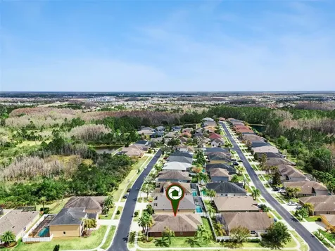 31518 Bearded Oak Drive Wesley Chapel FL 33543