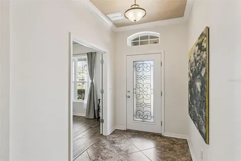 31518 Bearded Oak Drive Wesley Chapel FL 33543