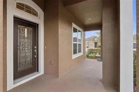 31518 Bearded Oak Drive Wesley Chapel FL 33543