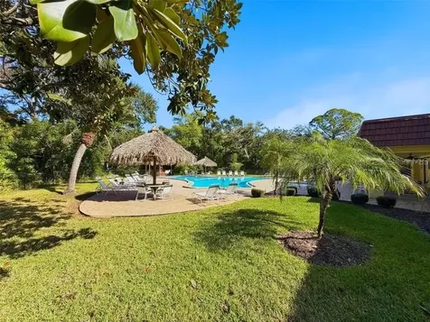 50 Dogwood Court Safety Harbor FL 34695