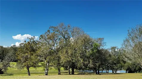 3401 Wax Myrtle Circle Zellwood FL 32798